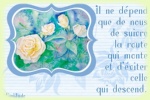 Cliquer pour agrandir