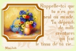 Cliquer pour agrandir