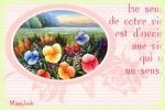 Cliquer pour agrandir