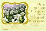 Cliquer pour agrandir