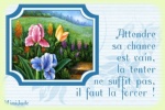 Cliquer pour agrandir