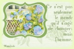 Cliquer pour agrandir