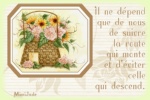 Cliquer pour agrandir