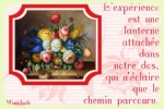 Cliquer pour agrandir