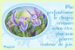 Cliquer pour agrandir