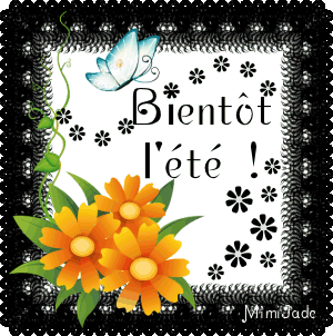 11.gif