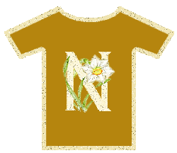 n.gif