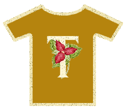 t.gif