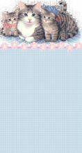 Chats-25.jpg