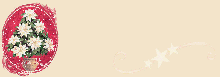 N6.gif